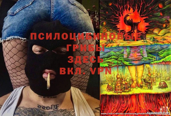 гидропоника Алзамай