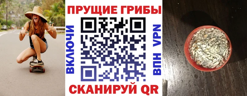 ОМГ ОМГ как зайти  Апатиты  Псилоцибиновые грибы Psilocybe 